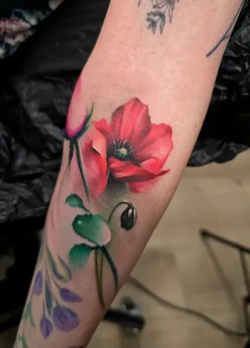 Tattoo von Gast-Artist Srdjan bei SkinLove