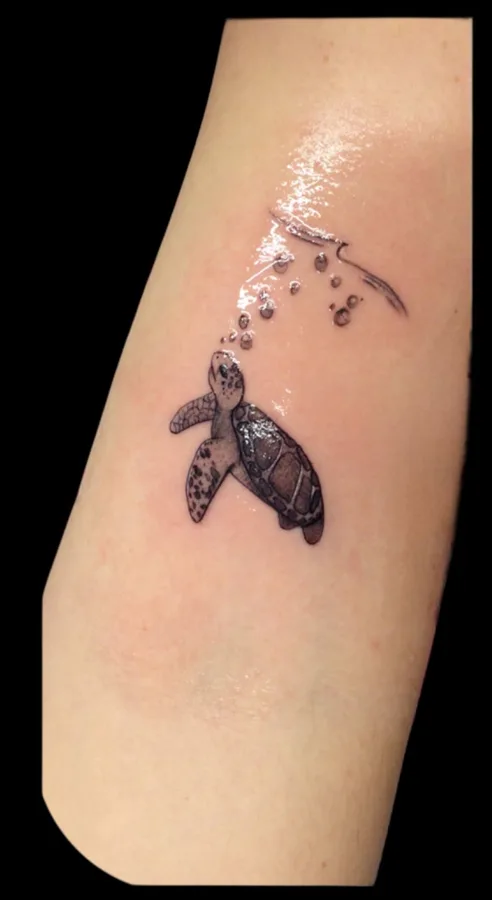 Fine-Line-Schildkroete am Unterarm, SkinLove Marchtrenk